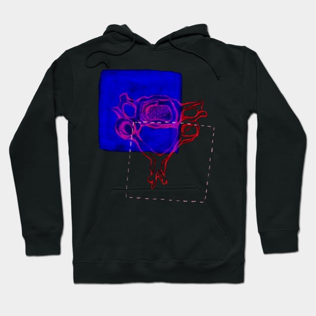 4th Cervical Vertebra Hoodie by RaLiz